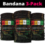 Juneteenth 1865 Neck Gaiter Unapologetically Black DT05