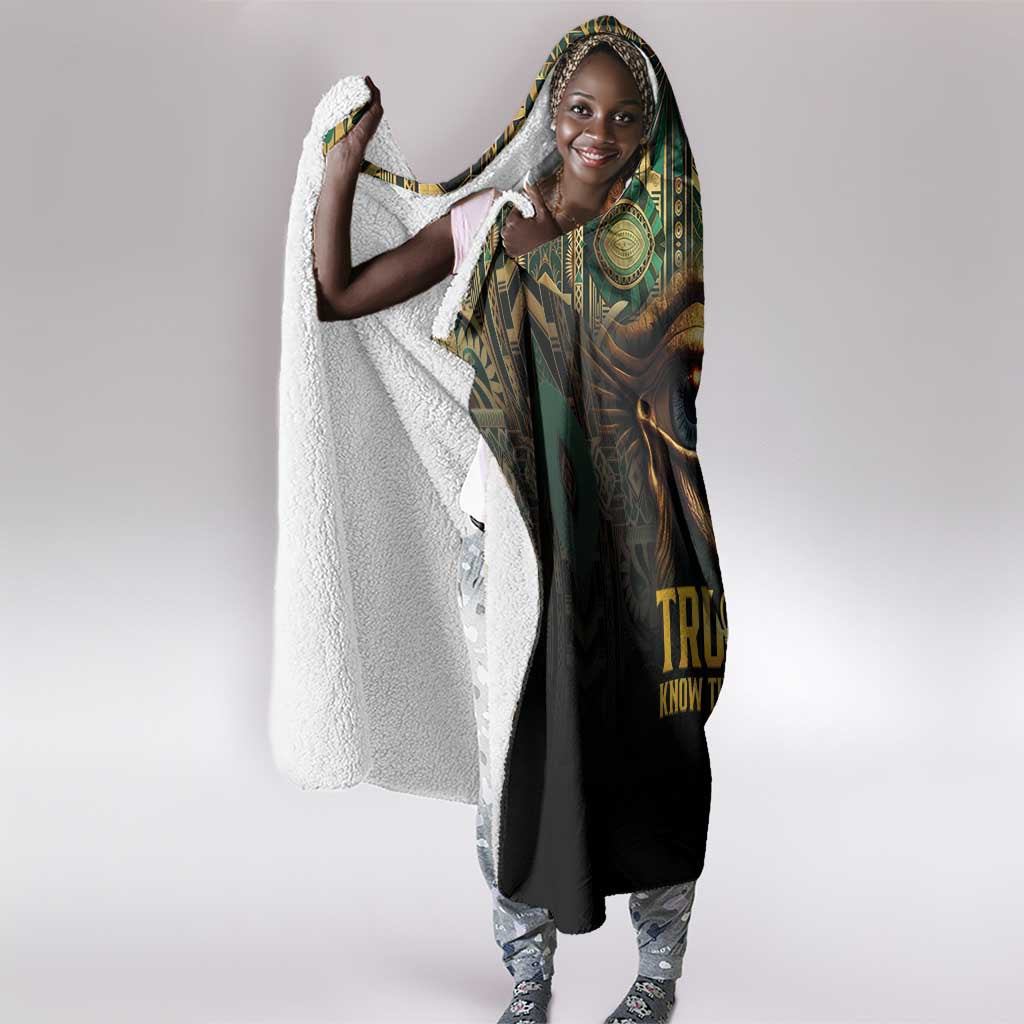 Egypt Eye of Horus Hooded Blanket Golden Ancient Egypt Pattern