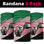 Personalized Sudan Neck Gaiter Coat Of Arms Flag Style LT15