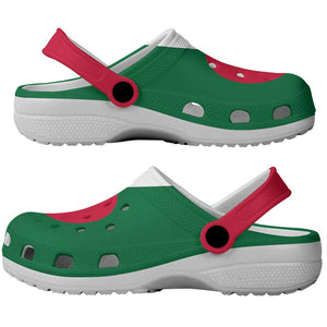 African Proud Algeria Flag Clogs Shoes - African Pride