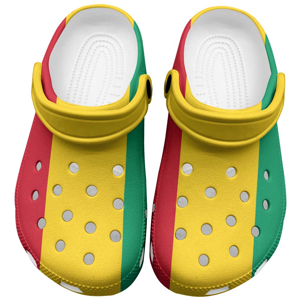 African Proud Guinea Flag Clogs Shoes by African Pride