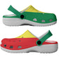 African Proud Senegal Flag Clogs Shoes - African Pride