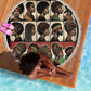 Never Apologize for Being Black Beach Blanket African Pride