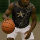 Egypt Seba Sleeveless Zip Hoodie Ancient Mythology Golden Star Royal