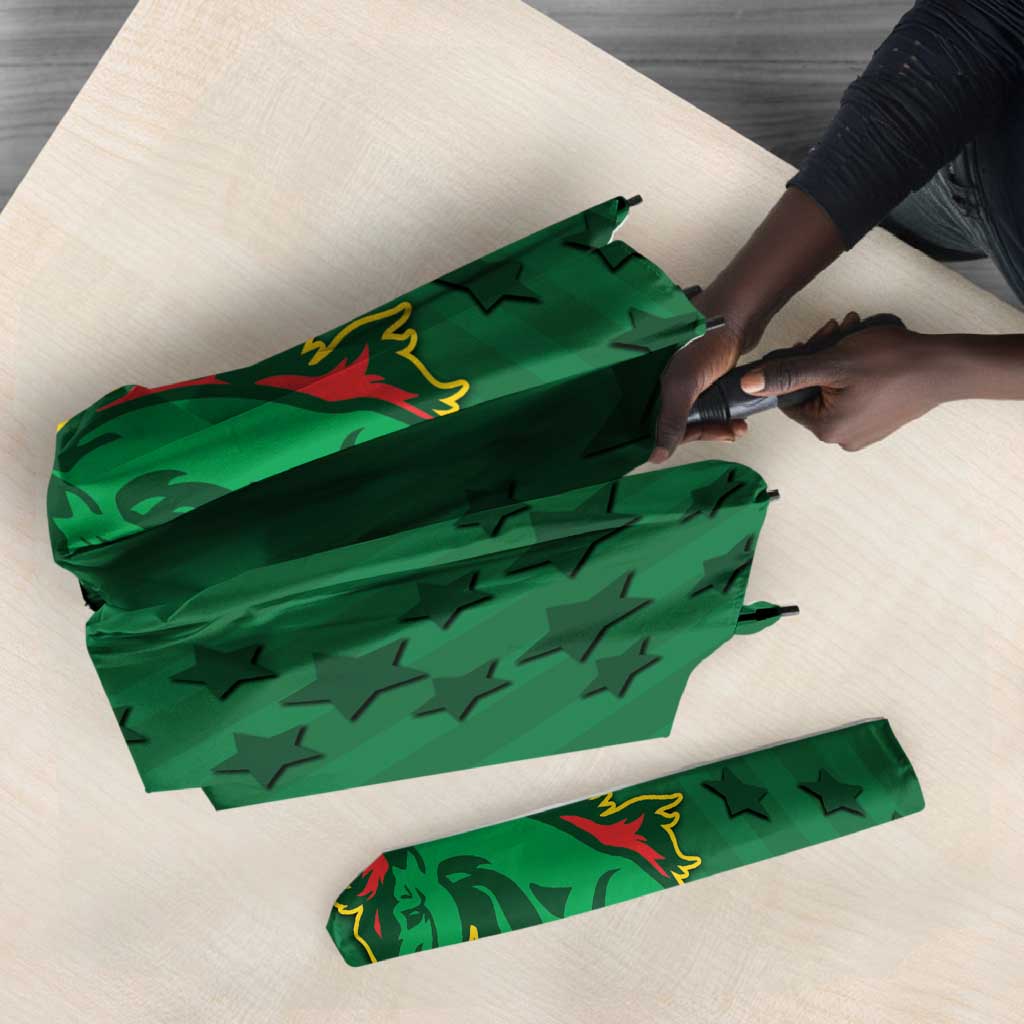 Football Burkina Faso Umbrella Rising Star And Horse Sport Style - African Pride