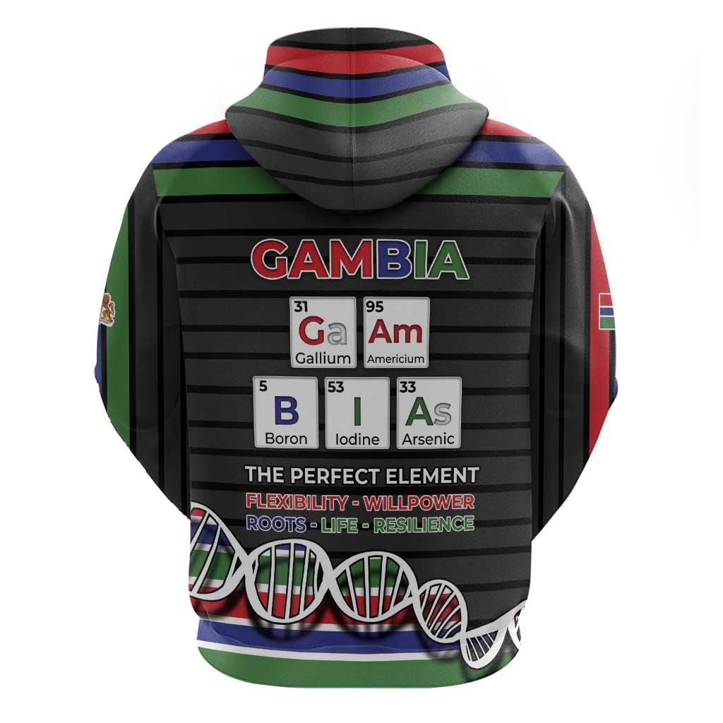 Gambia Hoodie Perfect Periodic Element Of African - African Pride