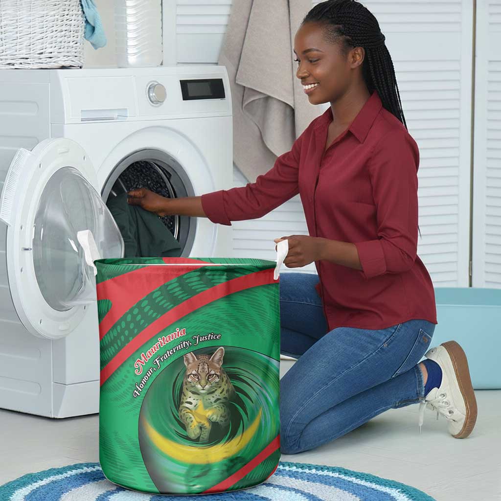 Mauritania Laundry Basket African Wildcat From Richat Structure