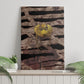 African Halloween Egypt Mummy Wrap Canvas Wall Art Golden Winged Scarab Badge