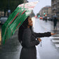 Algeria Football Umbrella Glitch Effect Desert Lines And Star Crescent