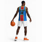 Support Les Leopards - DR Congo Football Basketball Jersey - African Pride