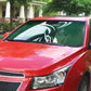 Rugby Zimbabwe Auto Sun Shade Sables Is The Champion