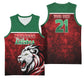 Custom Morocco Football Dream 2026 Basketball Jersey Atlas Lions Journey To America