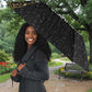 Egypt Pharaohs Umbrella African Football Champions 2025