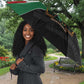 Kenya 254 Umbrella Kenyan Flag Map Double Lion Shield