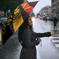 Black Jamaican Umbrella Rastafarian Lion One Love