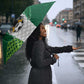 Custom Football African Nigeria Umbrella Retro Nigeria 20-21 Eagle Flag Motif