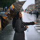 Egyptian Anubis Umbrella Ancient Egypt Culture