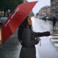 Afro-Haitians World Football 2026 Umbrella Haiti est de Retour Red Voodoo Veve Spirits