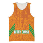 Ivory Coast Football Custom Basketball Jersey Les Elephants Dames Skin Style