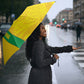 South Africa Soccer Umbrella Banyana Banyana Protea Yellow Version