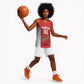 Afro Basketball Custom Tunisia Basketball Jersey Go Champions Eagles of Carthage - African Pride