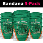 Ivory Coast Football Neck Gaiter 2026 Cote d'Ivoire Les Elephants Green Version - African Pride