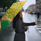 South Africa Soccer Umbrella 2026 Bafana Bafana Go Boys Protea - African Pride