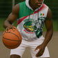 Afro Basketball Custom Senegal Sleeveless Zip Hoodie Come On Lions - African Pride