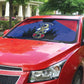 Les Grenadiers Haiti Football Auto Sun Shade 2026 Nou Retounen Blue Version