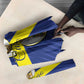 Curacao Football Umbrella 2026 The Blue Wave is Rising