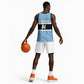 Afro Cricket Botswana Custom Basketball Jersey Go Baggy Blues Zebra Mascot - African Pride