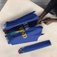Central African Republic Football Umbrella Go Champions