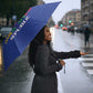 Central African Republic Football Umbrella Go Champions