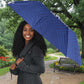 Central African Republic Football Umbrella Go Champions