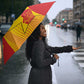 Zimbabwe Cricket Umbrella Go Champions