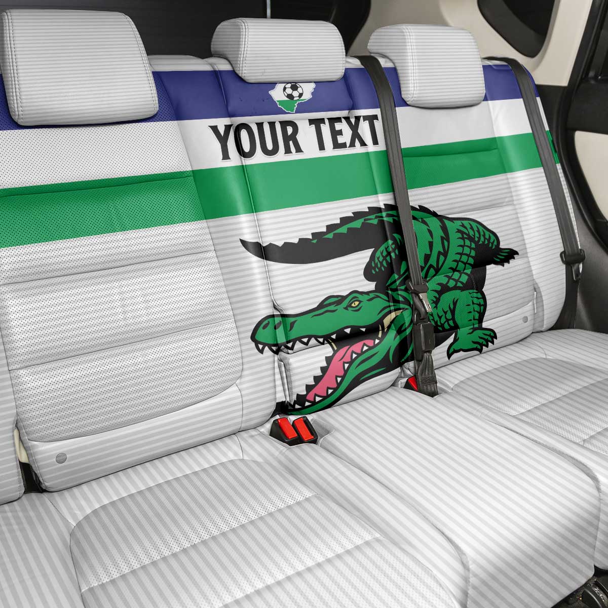 Custom Lesotho Football Back Car Seat Cover Go Likuena Go