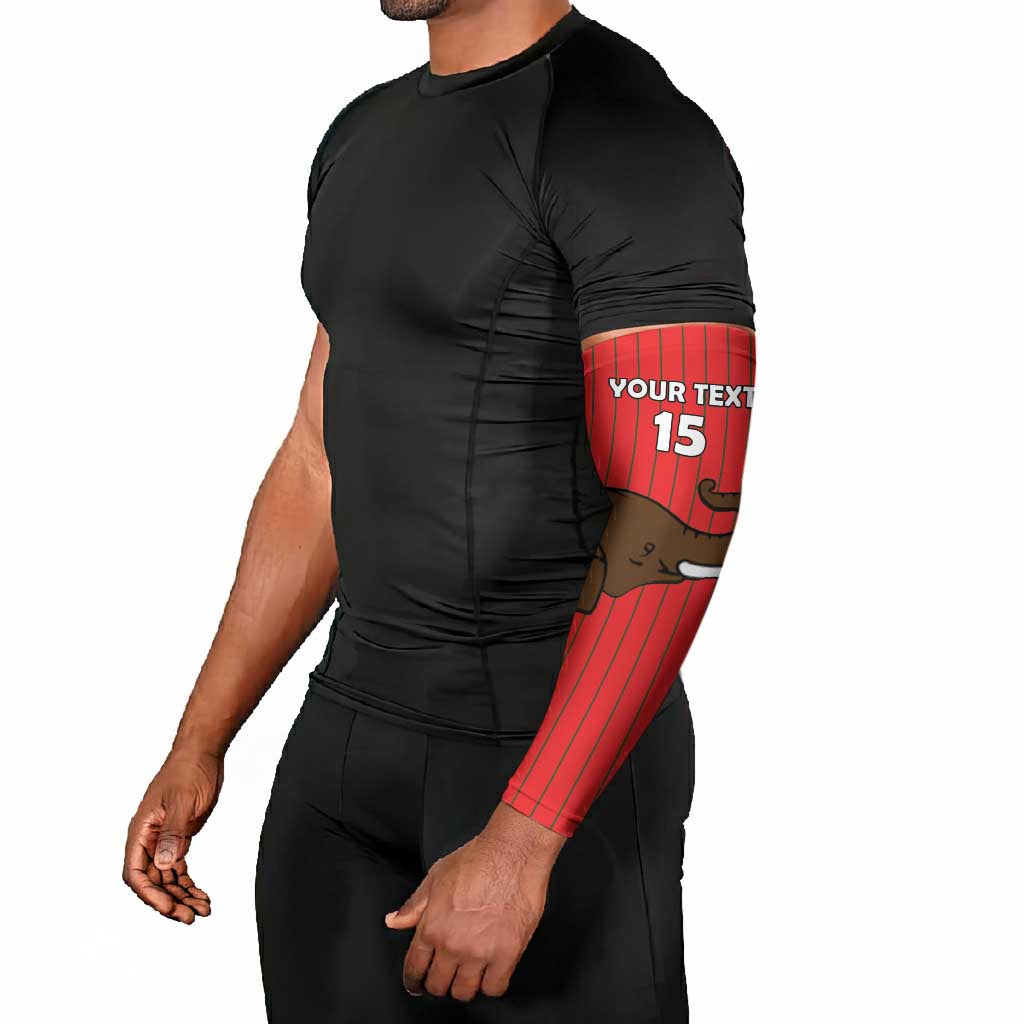 Custom Guinea Football Arm Sleeves Allez Syli National