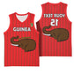 Guinea Football Custom Basketball Jersey Allez Syli National - African Pride
