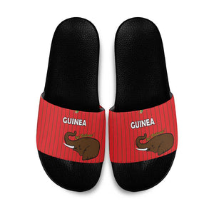 Guinea Football Slide Sandals Allez Syli National