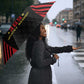 Harlem Hellfighters Umbrella 369th Infantry Regiment Legacy