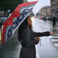 Mayotte Christmas Umbrella Joyeux Noel