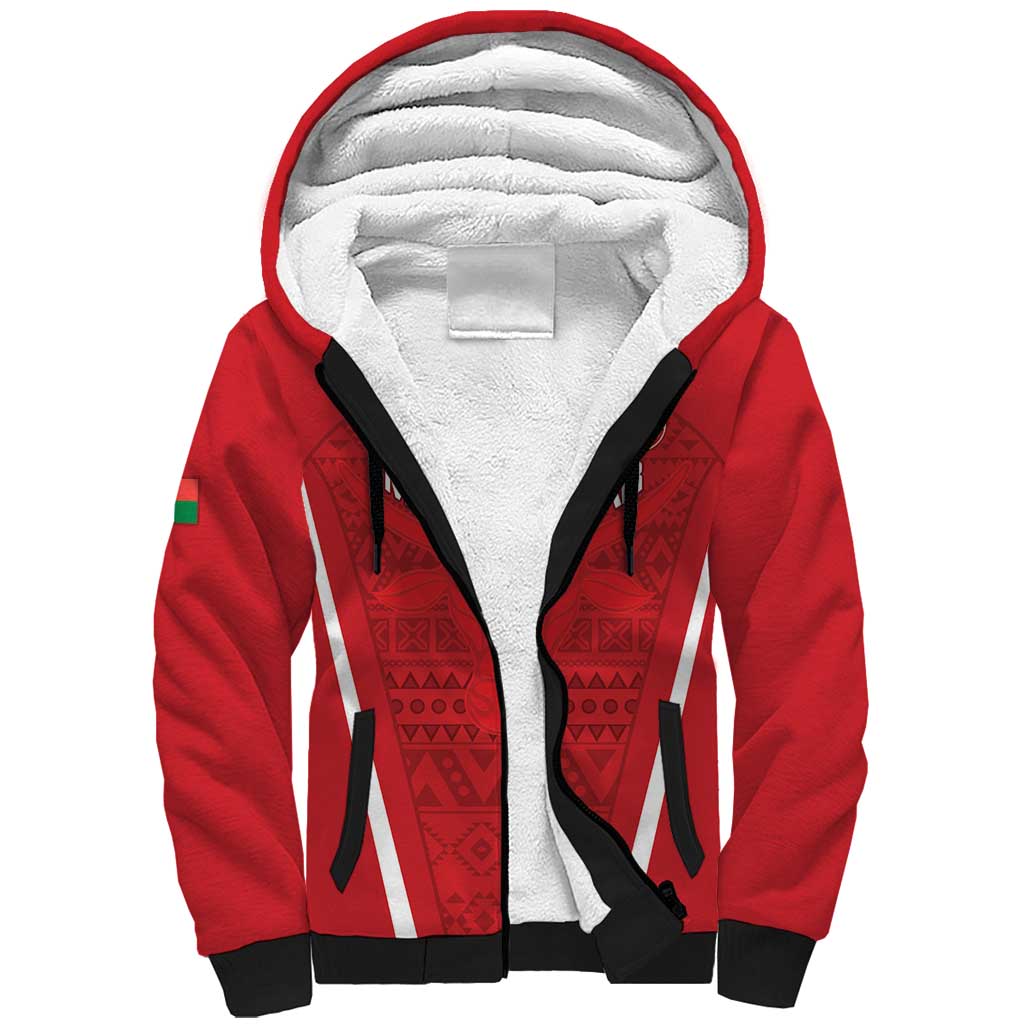 Custom Madagascar Football Sherpa Hoodie Go Champions