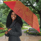 Zimbabwe Cricket Umbrella Come On Chevrons