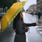 South Africa African Dashiki Umbrella