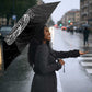 Harlem Hellfighters Umbrella 369th Infantry Regiment