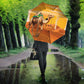 Mauritania Sahara Umbrella Camel With Map