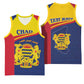 Afro Tchad Personalised Basketball Jersey Coat Of Arms - African Pattern - African Pride