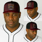 Tuskegee Red Tails Airmen Baseball Net Cap WWII Legacy Tribute - African Pride