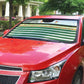 Zimbabwe Rugby Sevens Auto Sun Shade Go Cheetahs Go