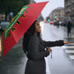 Personalized Afro-Haitians 1964 Umbrella Coat Of Arms Flag Style